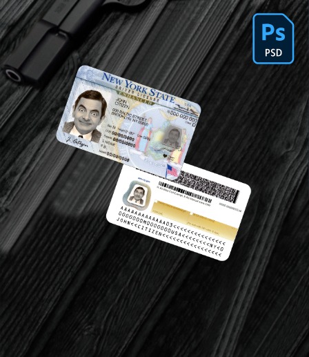 USA New York driving license PSD